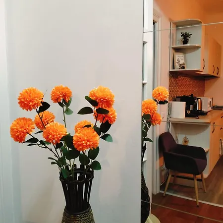 Vila Boema- With Parking For Large Business Groups
